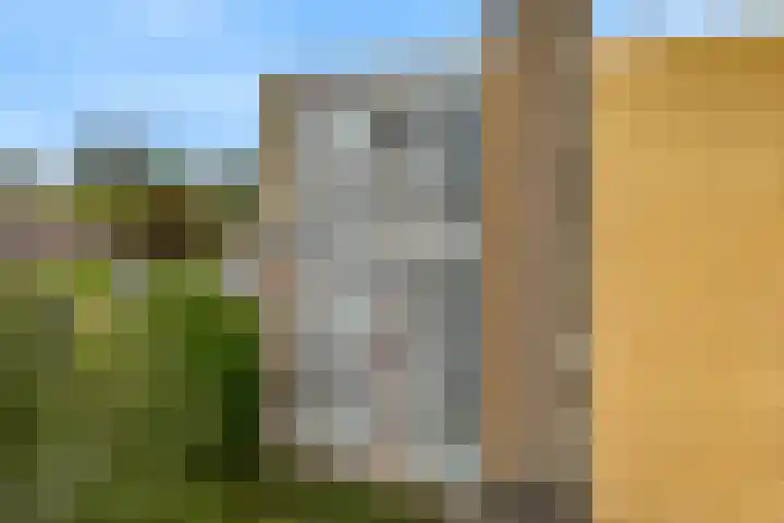 Zonnesteinhof 32 Amstelveen thumbnail 31