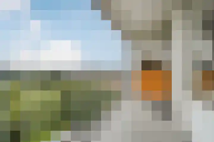 Zonnesteinhof 34 Amstelveen thumbnail 16