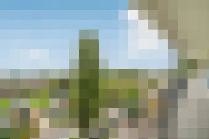 Zonnesteinhof 34 Amstelveen thumbnail 22