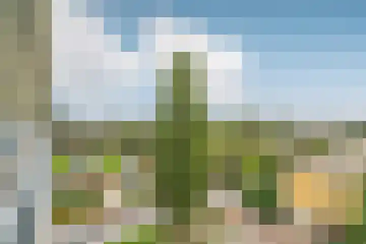Zonnesteinhof 34 Amstelveen thumbnail 23