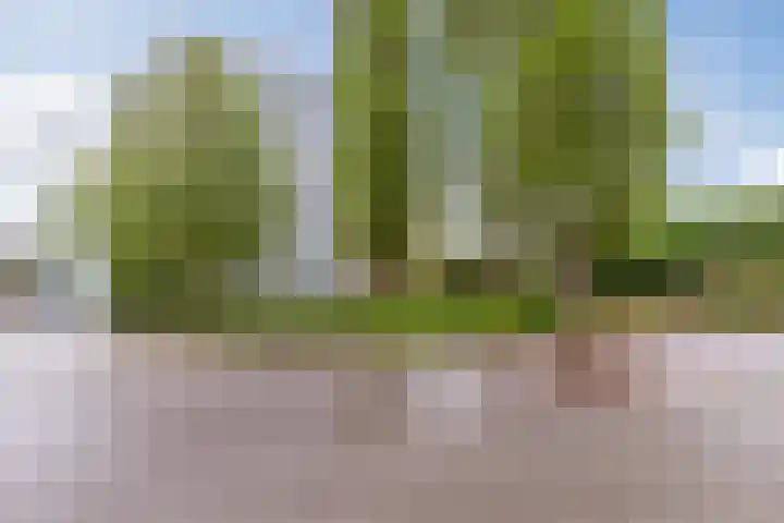 Zonnesteinhof 42 Amstelveen thumbnail 33