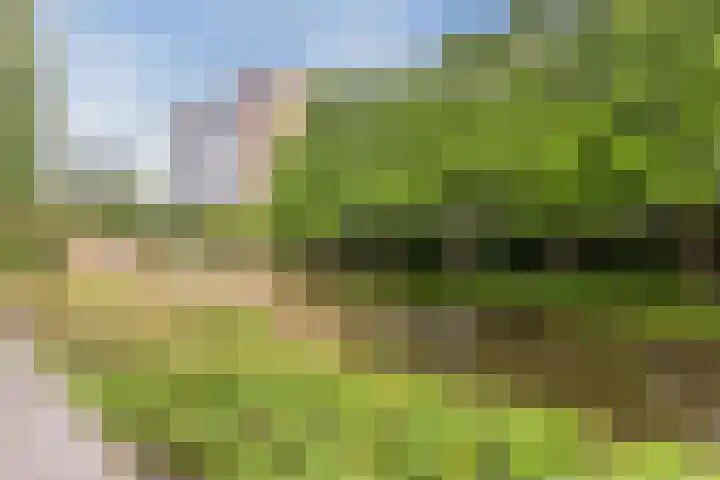 Zonnesteinhof 42 Amstelveen thumbnail 34