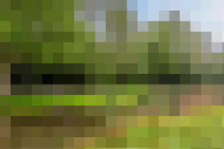 Zonnesteinhof 42 Amstelveen thumbnail 35