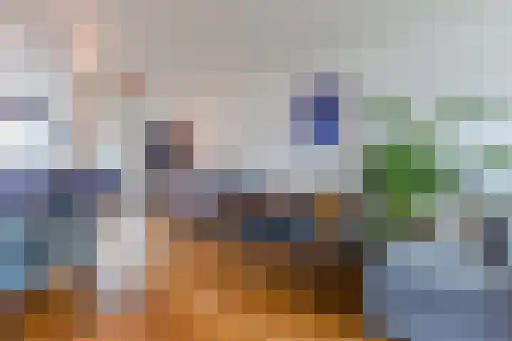 Zonnesteinhof 42 Amstelveen thumbnail 9