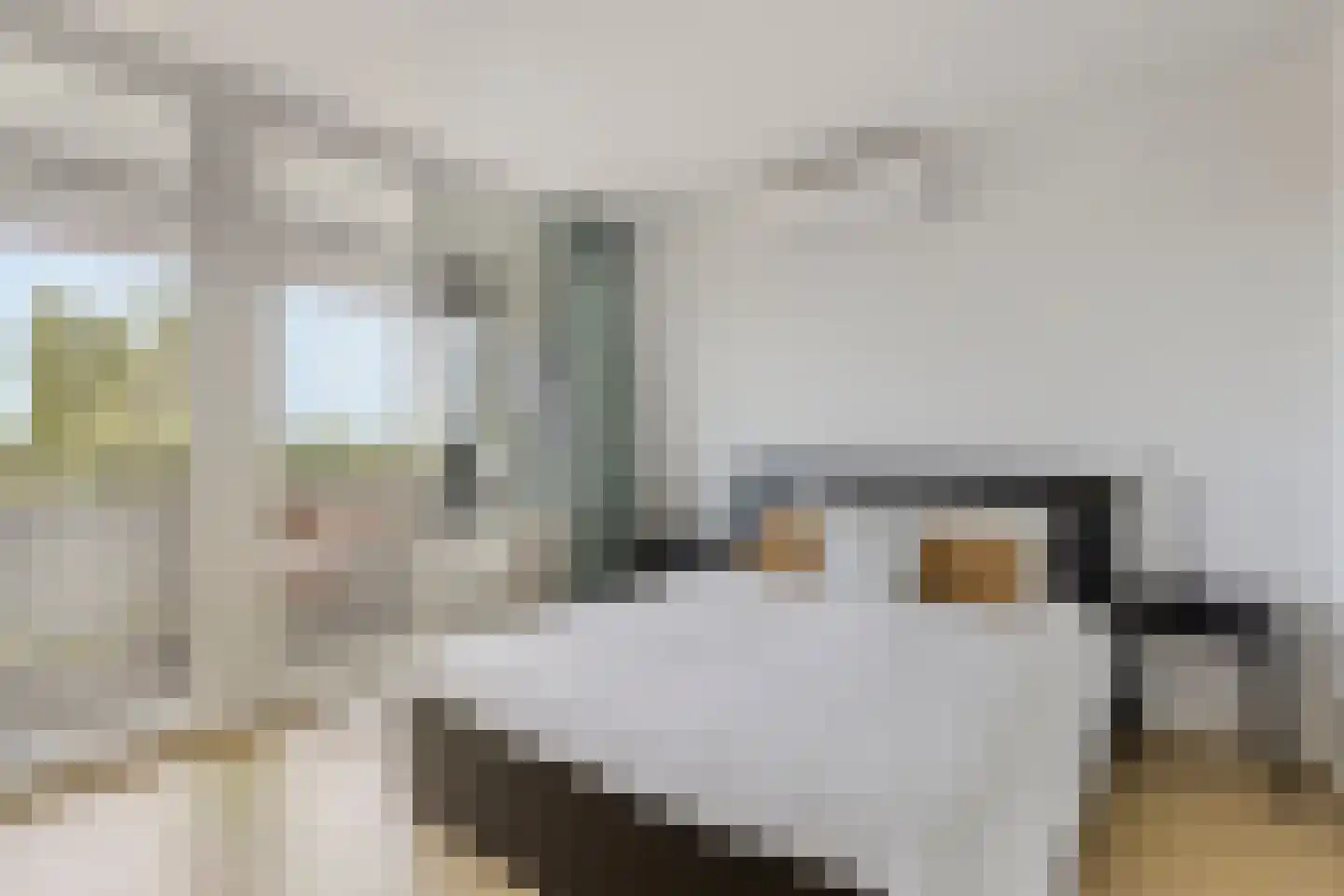 Zonnesteinhof 47 Amstelveen thumbnail 18