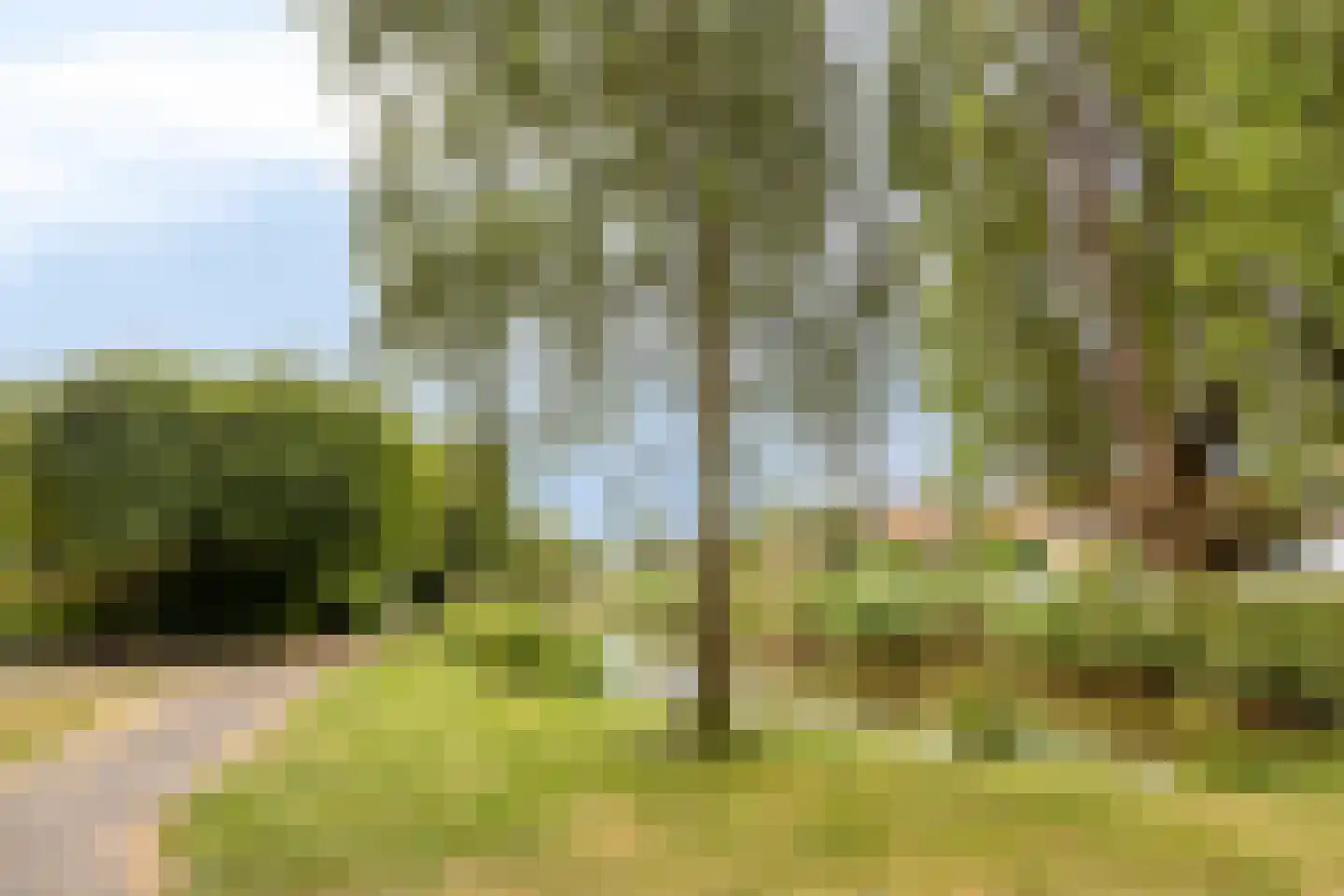 Zonnesteinhof 47 Amstelveen thumbnail 31