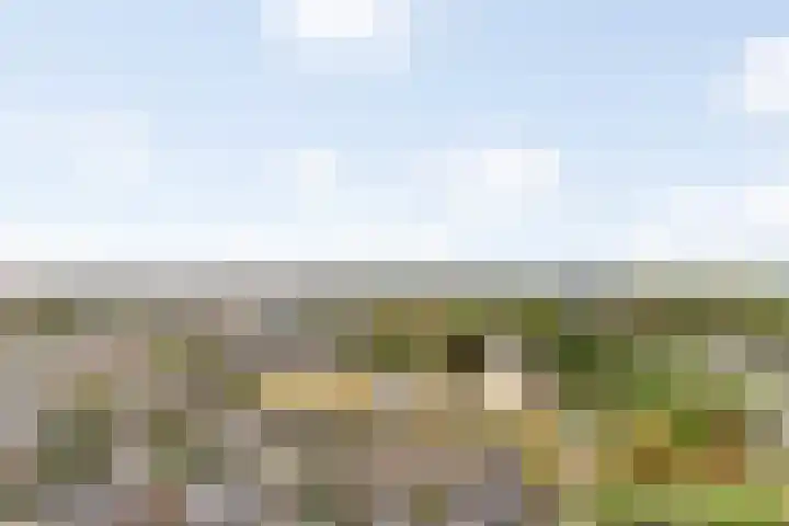 Zonnesteintoren 27 Zwijndrecht thumbnail 4
