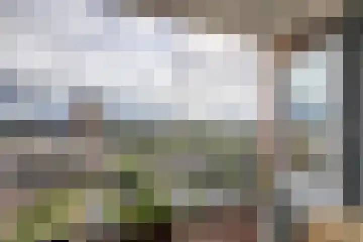 Zonnesteintoren 30 Zwijndrecht thumbnail 26