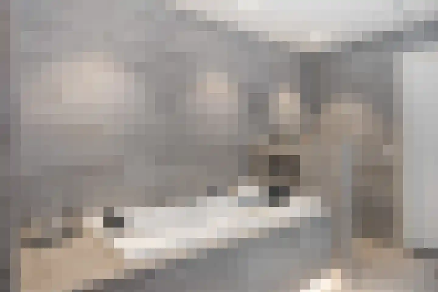 Zonnesteintoren 36 Zwijndrecht thumbnail 44
