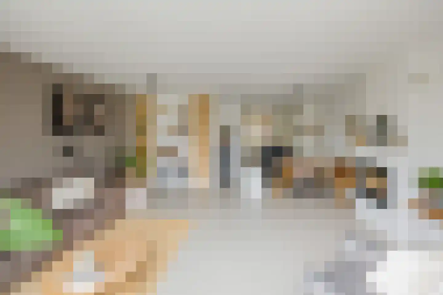 Zonnestraal 19 Lisse thumbnail 12