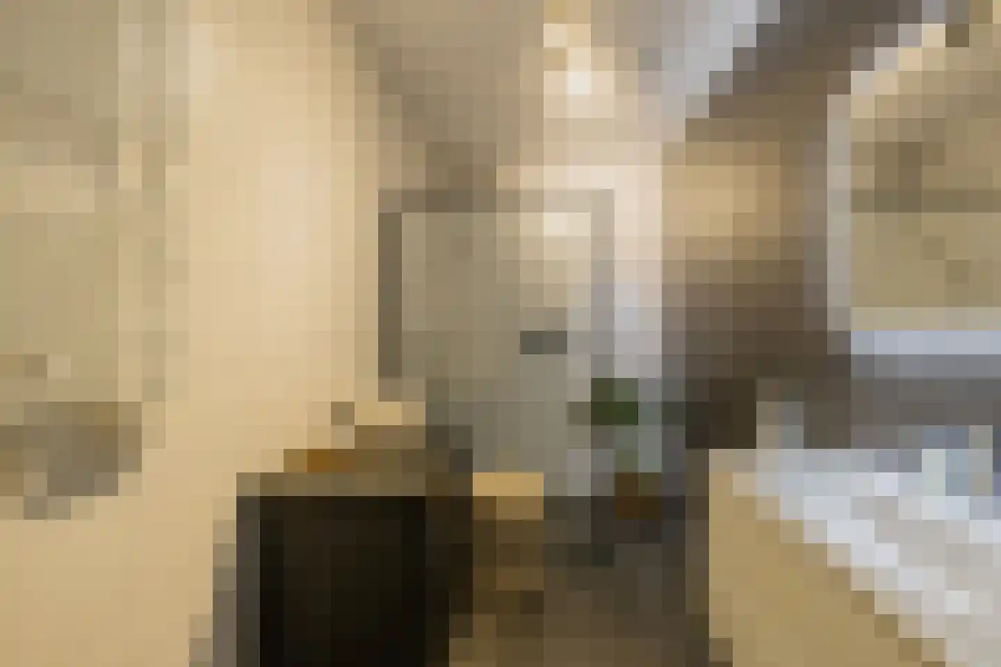 Zonnestraal 19 Lisse thumbnail 35