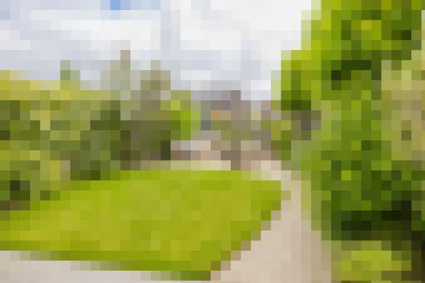 Zonnestraal 19 Lisse thumbnail 52