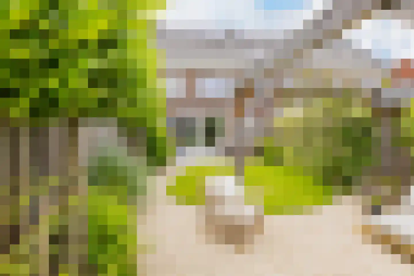 Zonnestraal 19 Lisse thumbnail 57