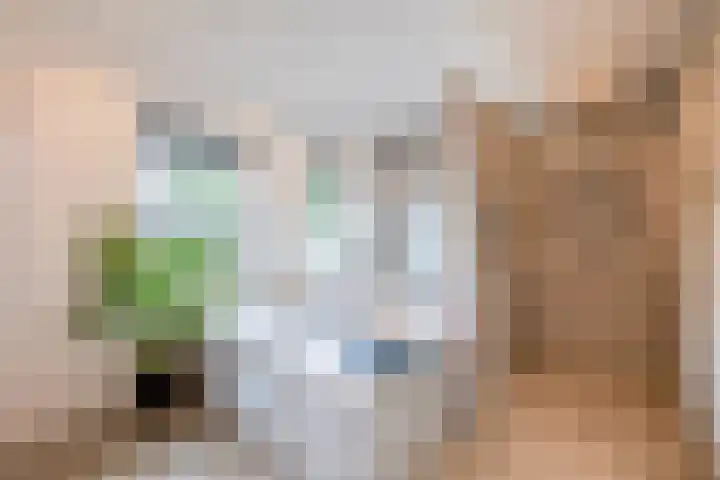 Zonnestraal 4 Lisse thumbnail 23