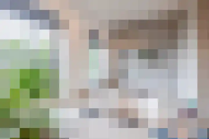 Zonnestraal 4 Lisse thumbnail 24