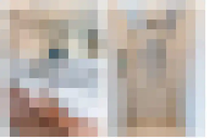 Zonnestraal 4 Lisse thumbnail 25