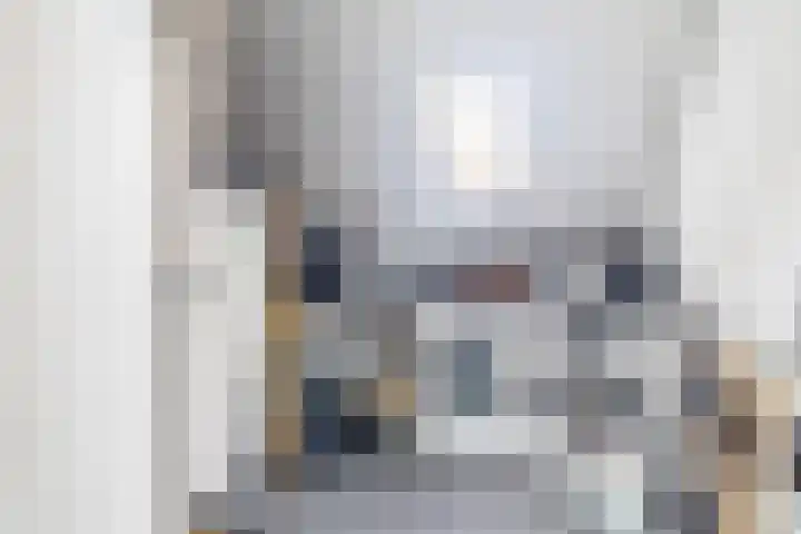 Zonnestraal 4 Lisse thumbnail 34