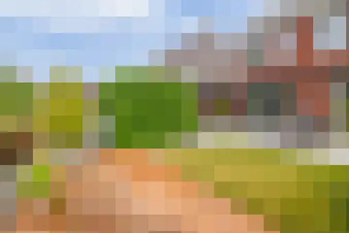Zonnestraal 4 Lisse thumbnail 38