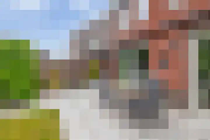 Zonnestraal 4 Lisse thumbnail 39