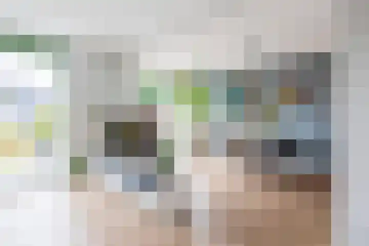 Zonnestraal 4 Lisse thumbnail 4