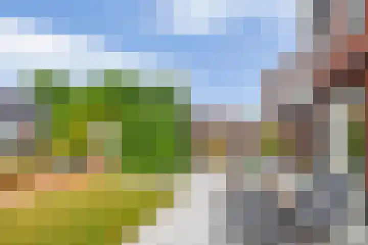 Zonnestraal 4 Lisse thumbnail 40