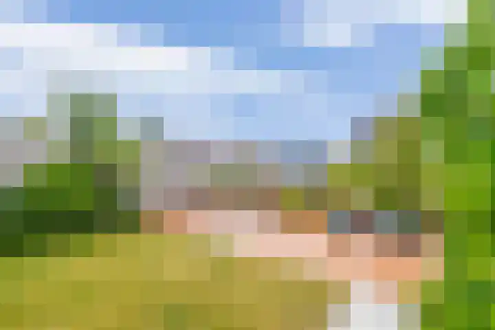Zonnestraal 4 Lisse thumbnail 42