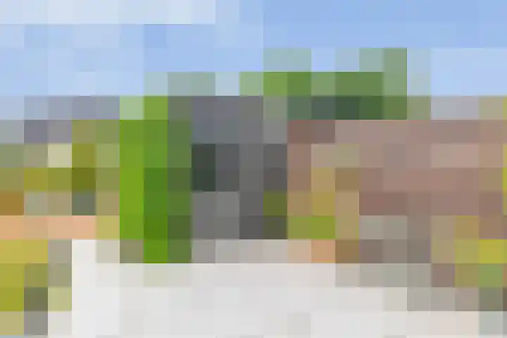 Zonnestraal 4 Lisse thumbnail 43