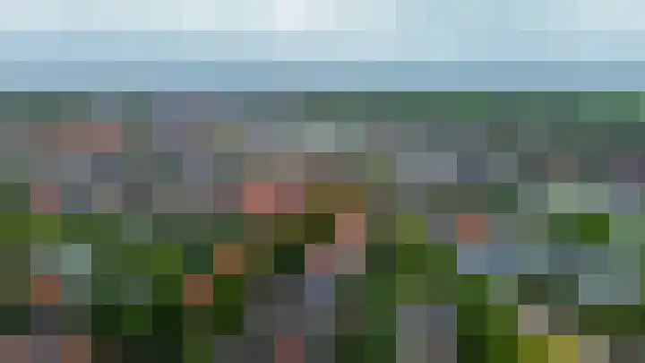 Zonnestraal 4 Lisse thumbnail 49