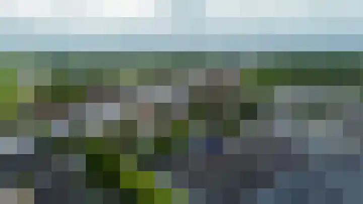 Zonnestraal 4 Lisse thumbnail 50