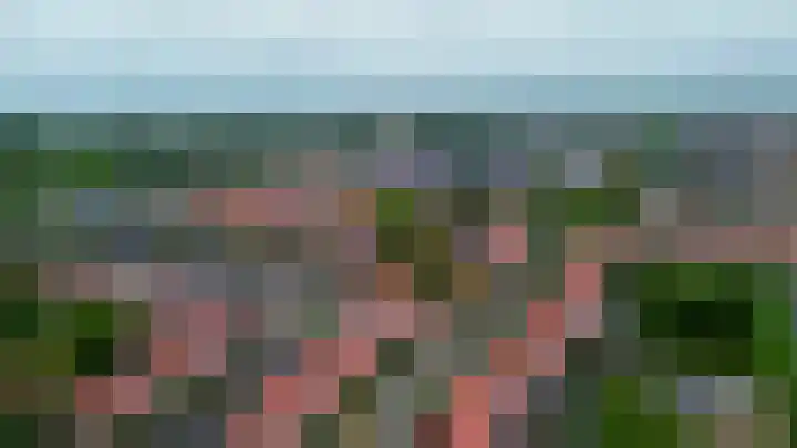 Zonnestraal 4 Lisse thumbnail 51