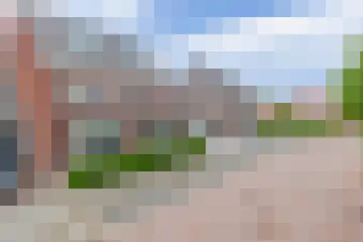 Zonnestraal 4 Lisse thumbnail 54