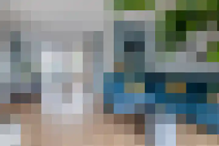 Zonnestraal 4 Lisse thumbnail 6