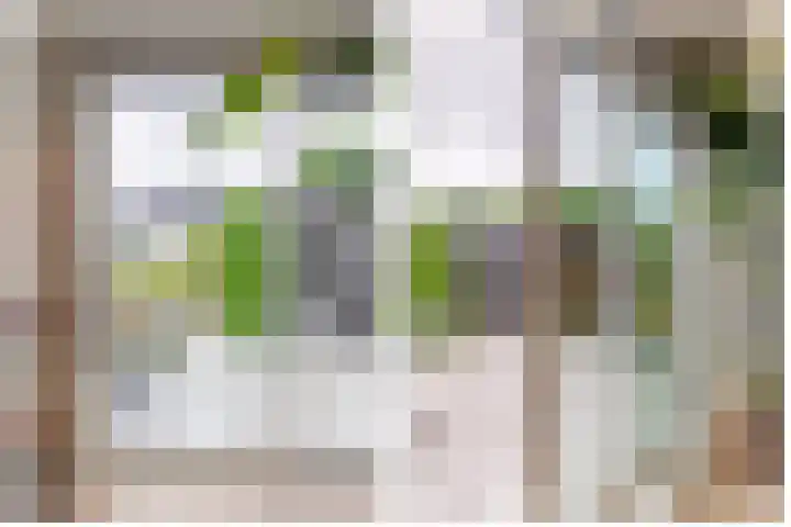 Zonnestraal 4 Lisse thumbnail 9