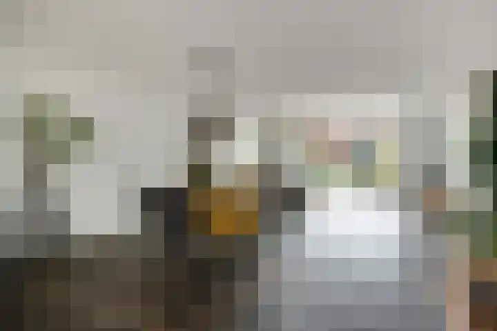 Zonnestraal 5 Boxtel thumbnail 10