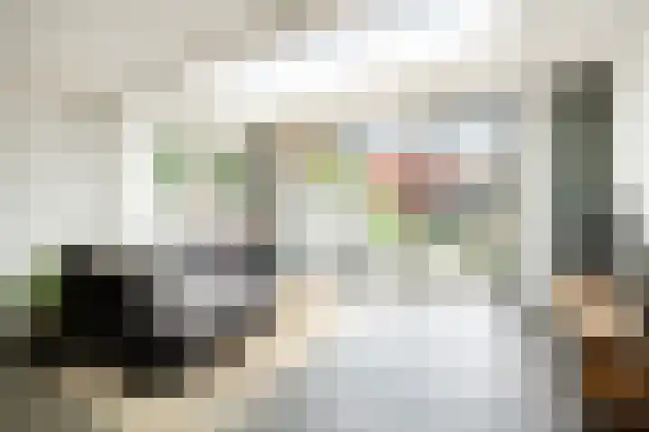 Zonnestraal 5 Boxtel thumbnail 13