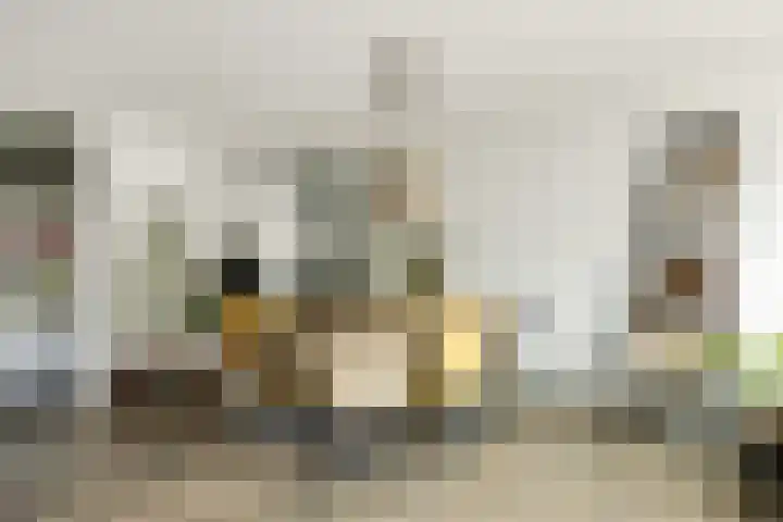 Zonnestraal 5 Boxtel thumbnail 19