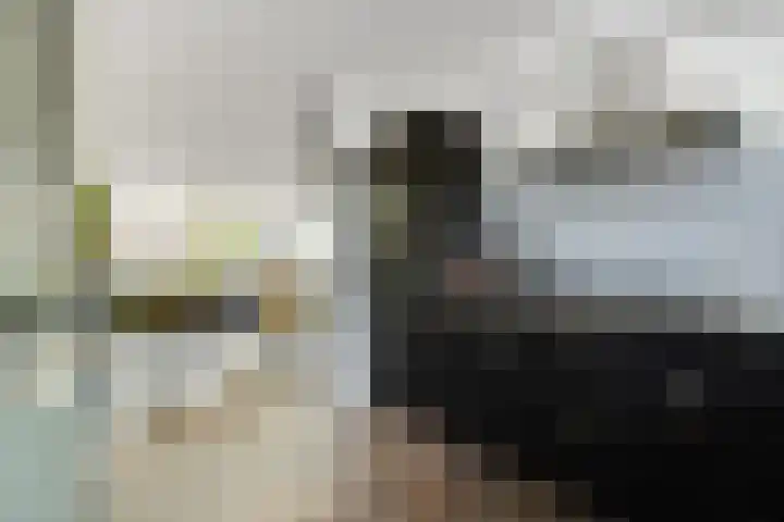 Zonnestraal 5 Boxtel thumbnail 24
