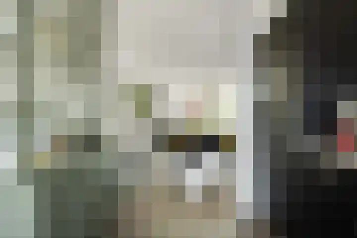 Zonnestraal 5 Boxtel thumbnail 25