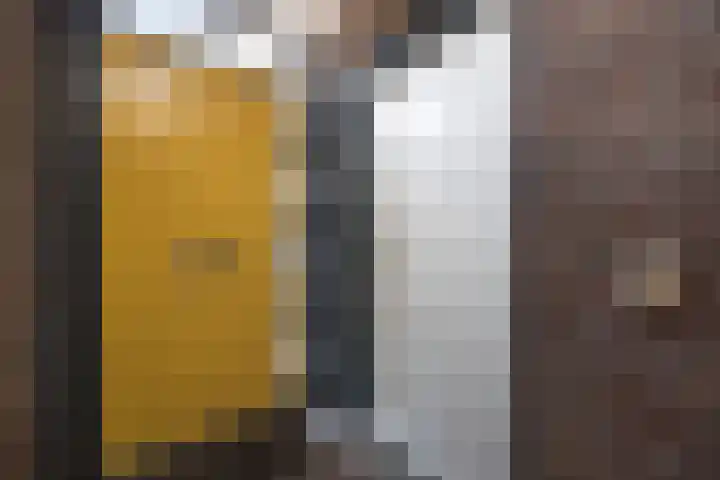 Zonnestraal 5 Boxtel thumbnail 4