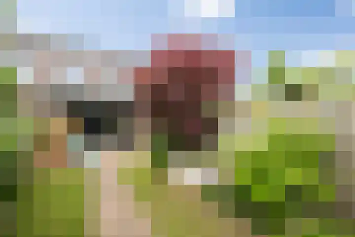 Zonnestraal 5 Boxtel thumbnail 40