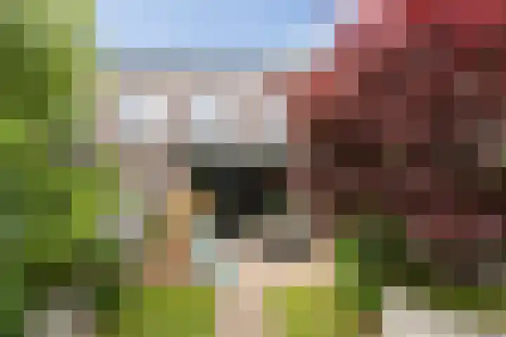 Zonnestraal 5 Boxtel thumbnail 41