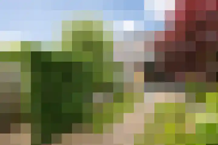Zonnestraal 5 Boxtel thumbnail 42
