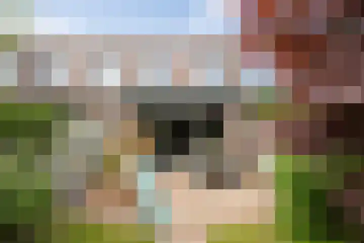 Zonnestraal 5 Boxtel thumbnail 43