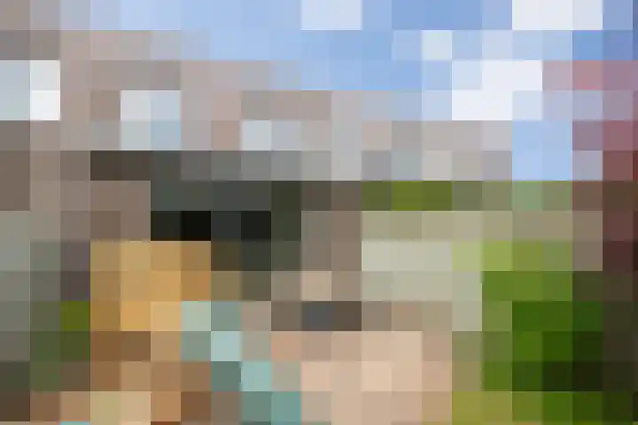 Zonnestraal 5 Boxtel thumbnail 44