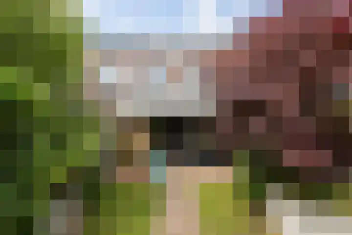 Zonnestraal 5 Boxtel thumbnail 46
