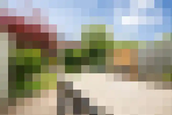 Zonnestraal 5 Boxtel thumbnail 47