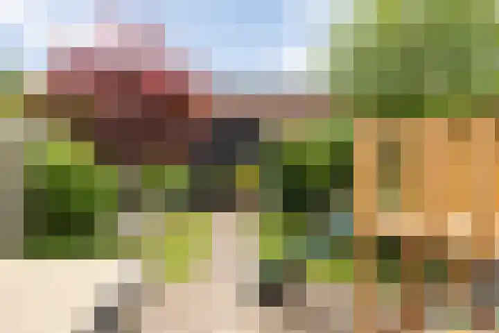 Zonnestraal 5 Boxtel thumbnail 48