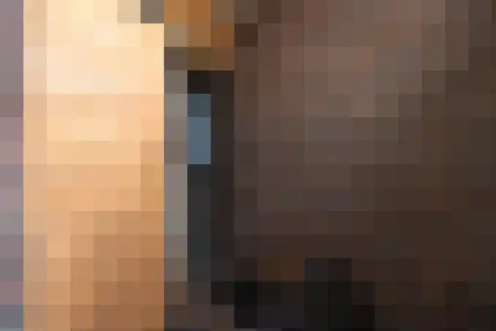 Zonnestraal 5 Boxtel thumbnail 5