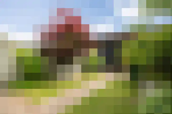 Zonnestraal 5 Boxtel thumbnail 50