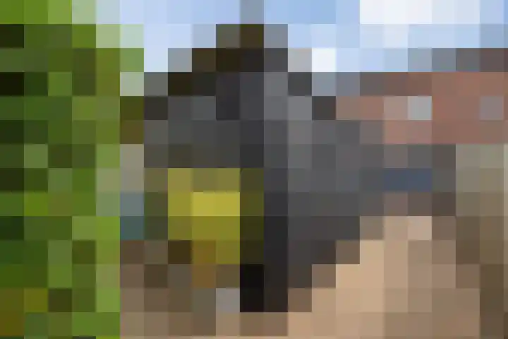 Zonnestraal 5 Boxtel thumbnail 51